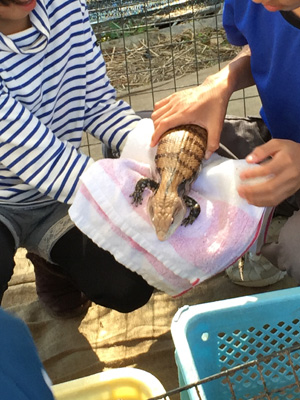 ふれあい移動動物園